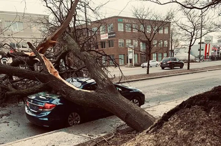 بیش از ۴۰ درصد از ساکنان مونترال همچنان برق ندارند
